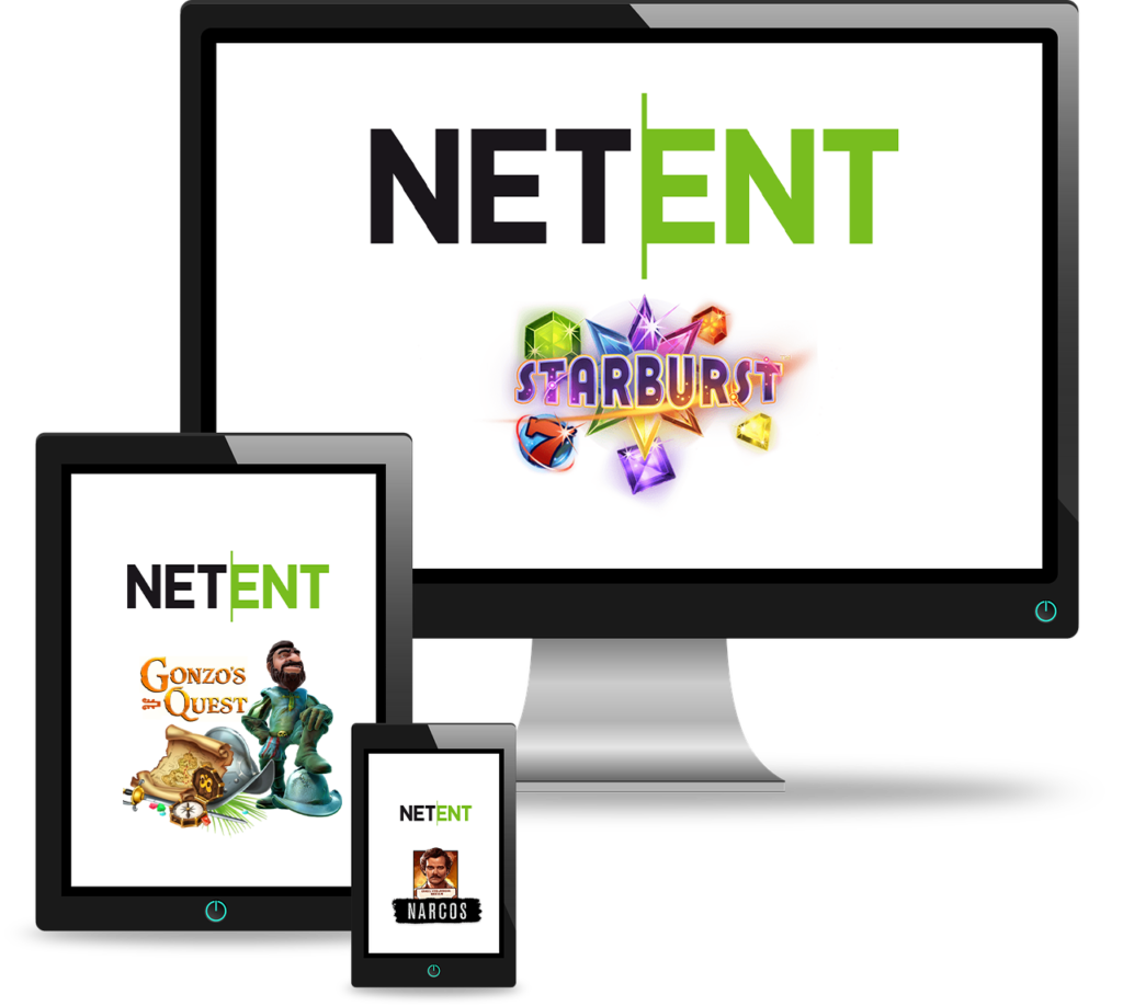 What Is NetEntertainment?